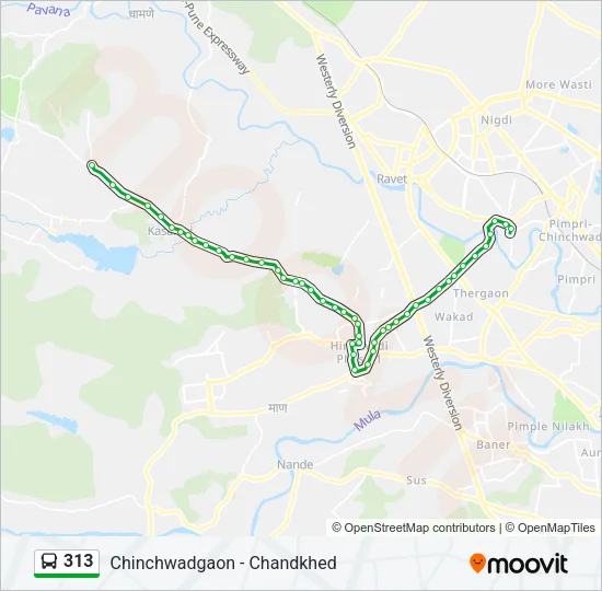 313 Bus Line Map