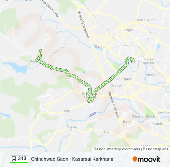 313 Bus Line Map