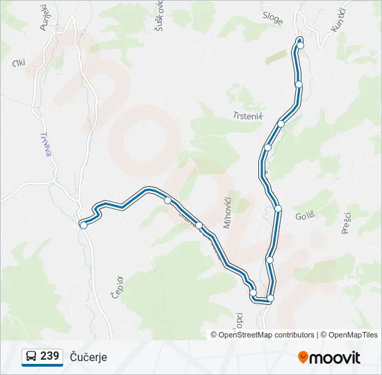 239 Bus Line Map