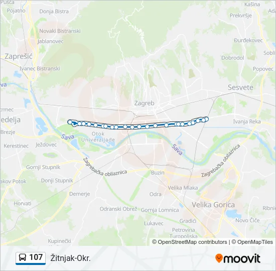 107 Bus Line Map