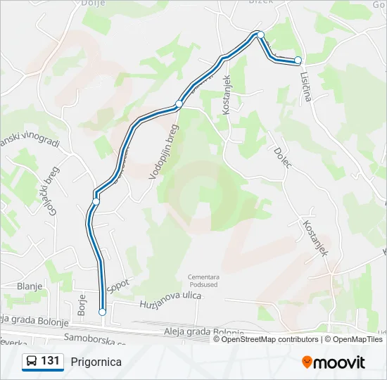 131 Bus Line Map