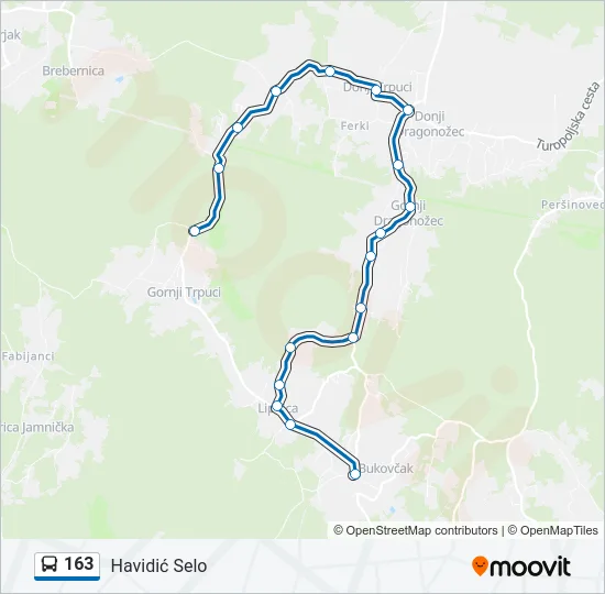 163 Bus Line Map