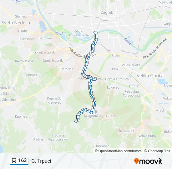 163 Bus Line Map