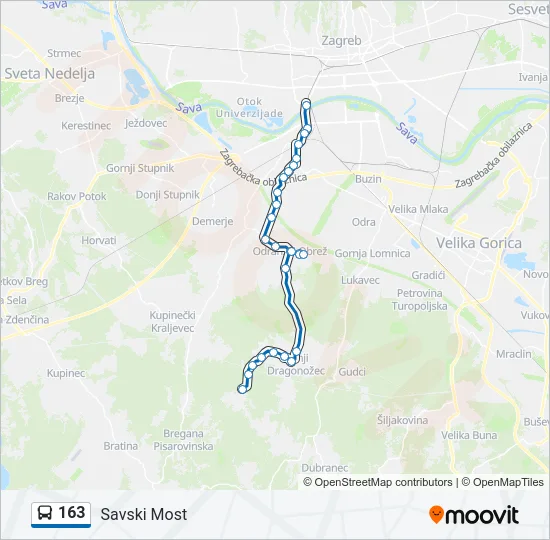 163 Bus Line Map
