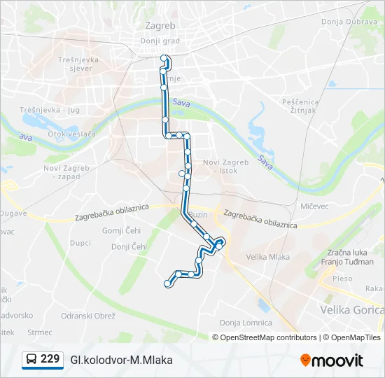 229 Bus Line Map