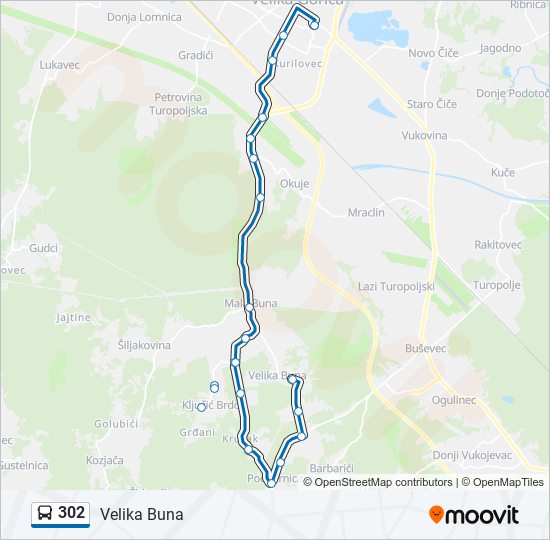 302 Route: Schedules, Stops & Maps - Velika Buna (Updated)