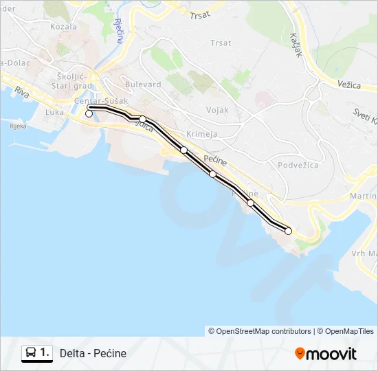 1. Bus Line Map