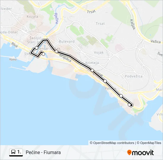 1. Bus Line Map