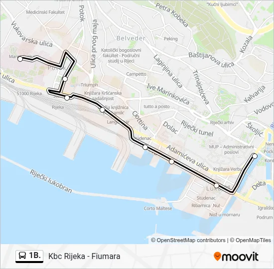 1B. Bus Line Map