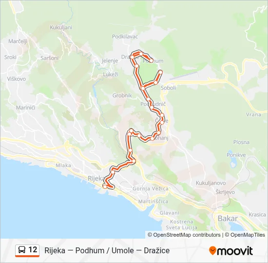 12 Bus Line Map