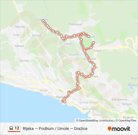 12 Bus Line Map