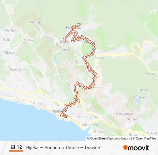 12 Bus Line Map