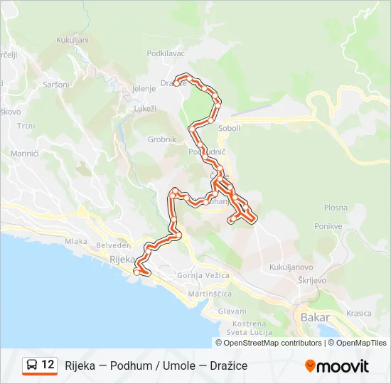 12 Bus Line Map