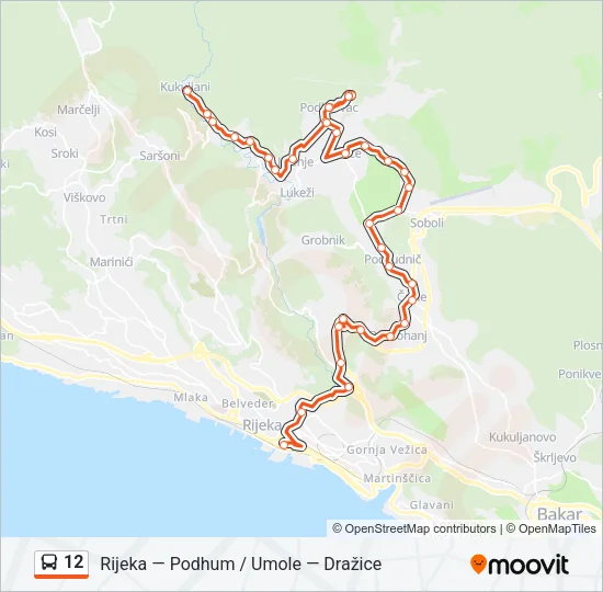12 Bus Line Map