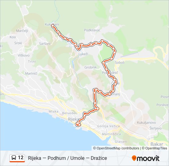 12 Bus Line Map