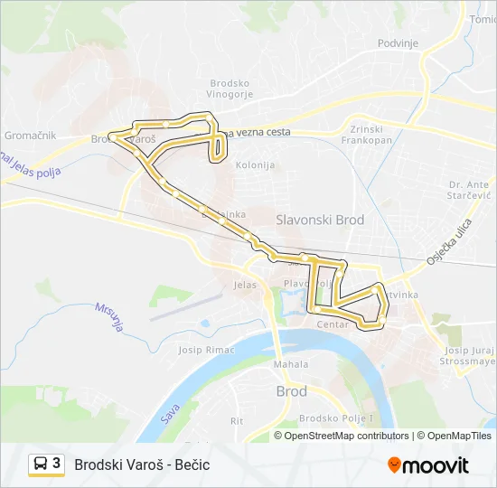 3 Bus Line Map