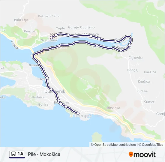 1A Bus Line Map