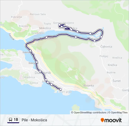 1B Bus Line Map