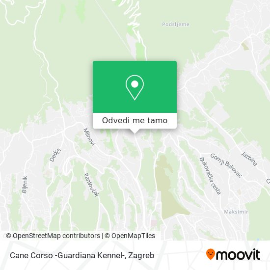 Karta Cane Corso -Guardiana Kennel-