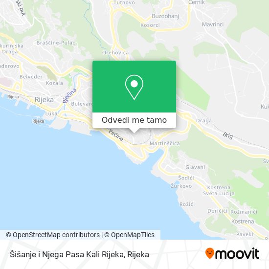 Karta Šišanje i Njega Pasa Kali Rijeka