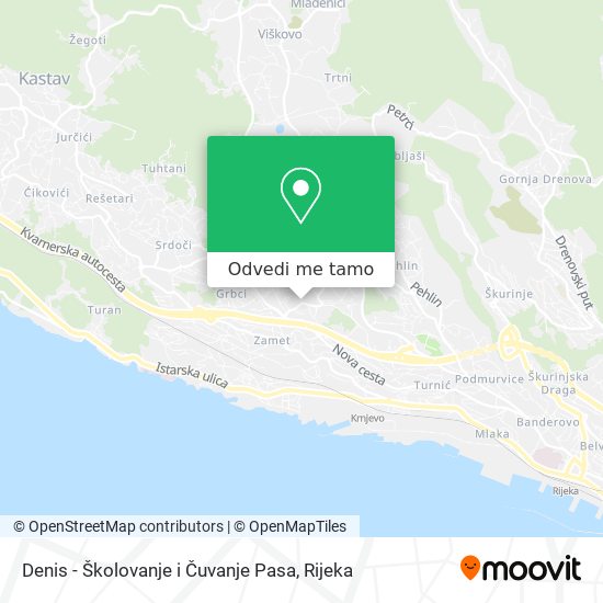 Karta Denis - Školovanje i Čuvanje Pasa