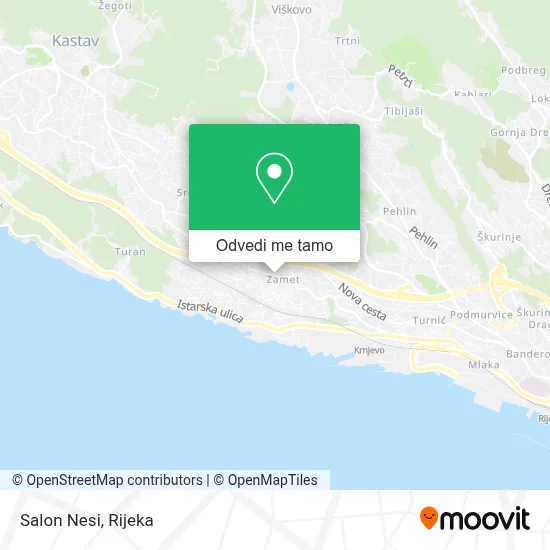 Karta Salon Nesi