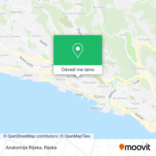 Karta Anatomija Rijeka