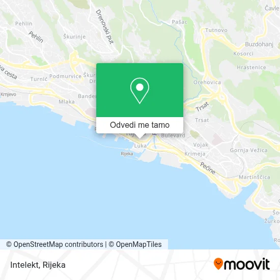 Karta Intelekt