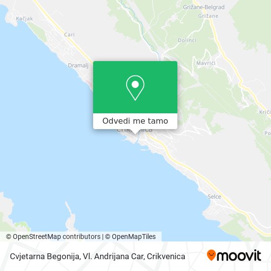 Karta Cvjetarna Begonija, Vl. Andrijana Car