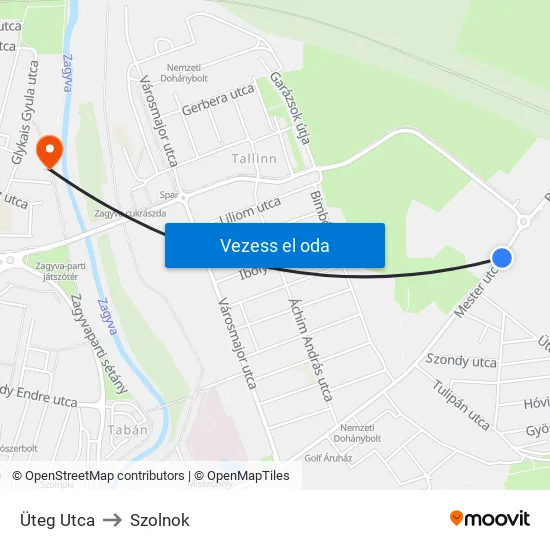 Üteg Utca to Szolnok map