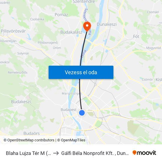 Blaha Lujza Tér M (Népszínház Utca) to Gálfi Béla Nonprofit Kft. , Dunaparti Pszichiátriai Osztály map