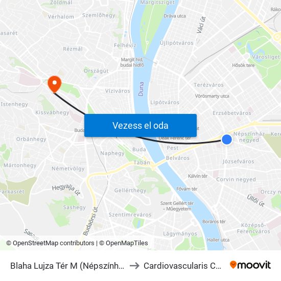 Blaha Lujza Tér M (Népszínház Utca) to Cardiovascularis Centrum map