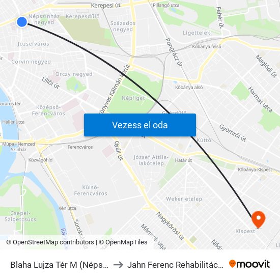 Blaha Lujza Tér M (Népszínház Utca) to Jahn Ferenc Rehabilitációs Centrum map