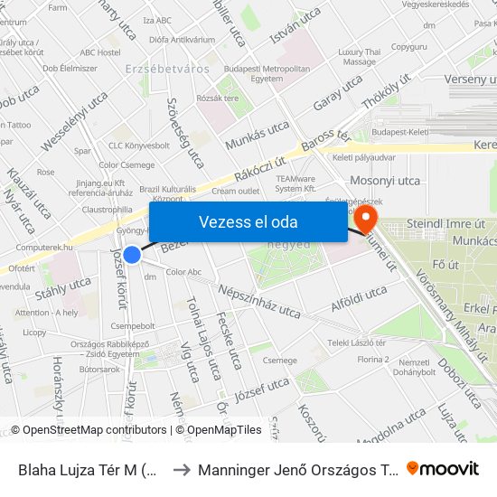 Blaha Lujza Tér M (Népszínház Utca) to Manninger Jenő Országos Traumatológiai Intézet map