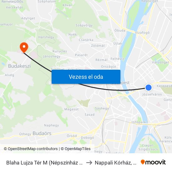 Blaha Lujza Tér M (Népszínház Utca) to Nappali Kórház, Oori map