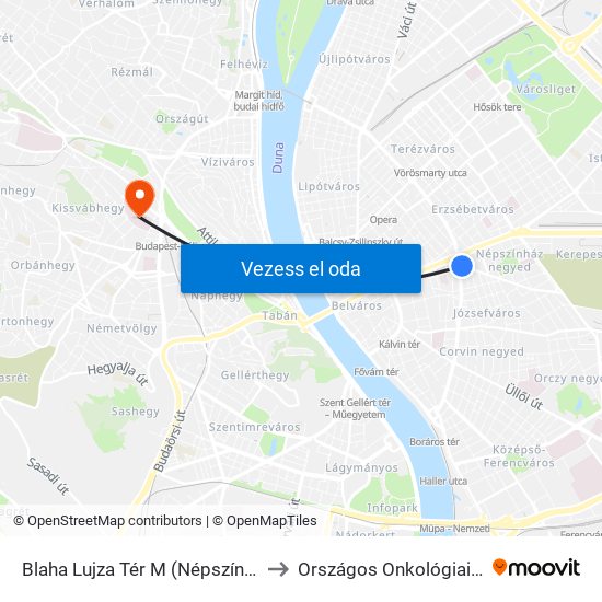 Blaha Lujza Tér M (Népszínház Utca) to Országos Onkológiai Intézet map