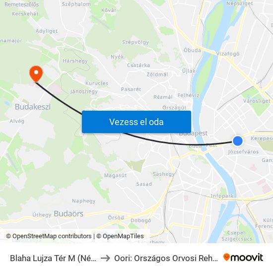 Blaha Lujza Tér M (Népszínház Utca) to Oori: Országos Orvosi Rehabilitációs Intézet map