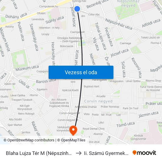 Blaha Lujza Tér M (Népszínház Utca) to Ii. Számú Gyermekklinika map