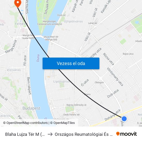 Blaha Lujza Tér M (Népszínház Utca) to Országos Reumatológiai És Fizioterápiás Intézet, Orfi map