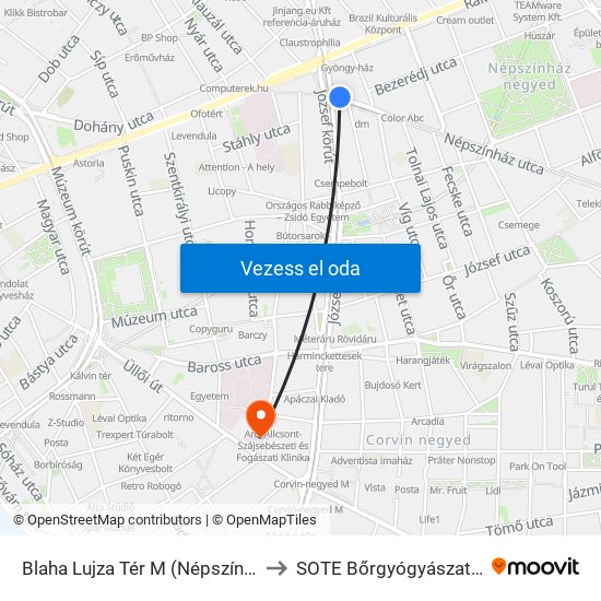 Blaha Lujza Tér M (Népszínház Utca) to SOTE Bőrgyógyászati Klinika map