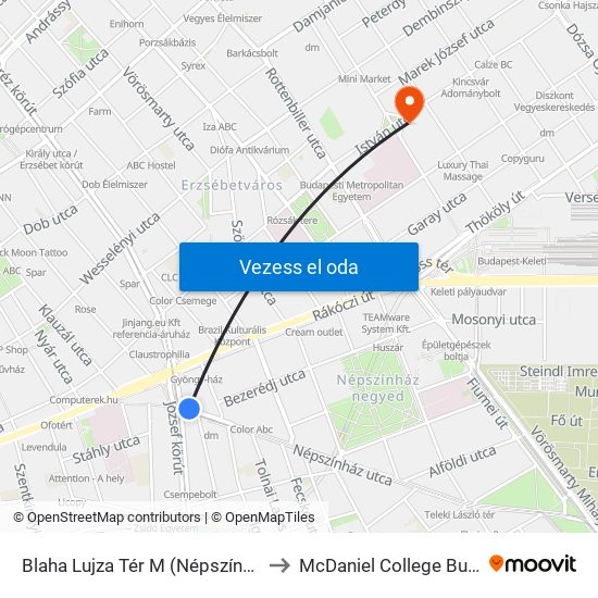 Blaha Lujza Tér M (Népszínház Utca) to McDaniel College Budapest map