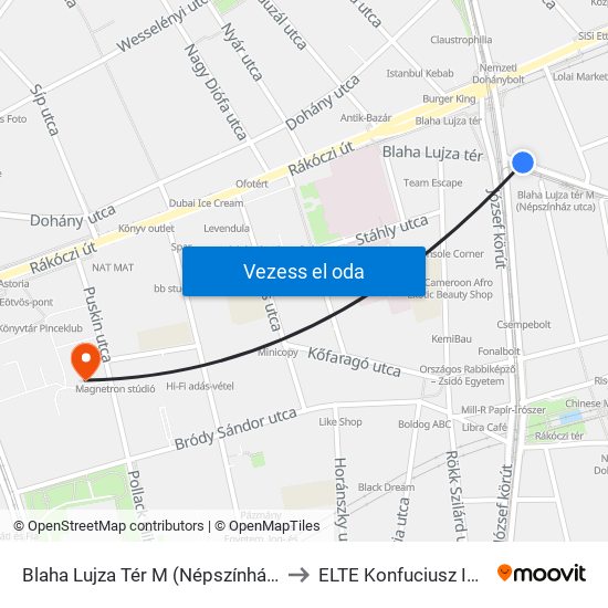 Blaha Lujza Tér M (Népszínház Utca) to ELTE Konfuciusz Intézet map