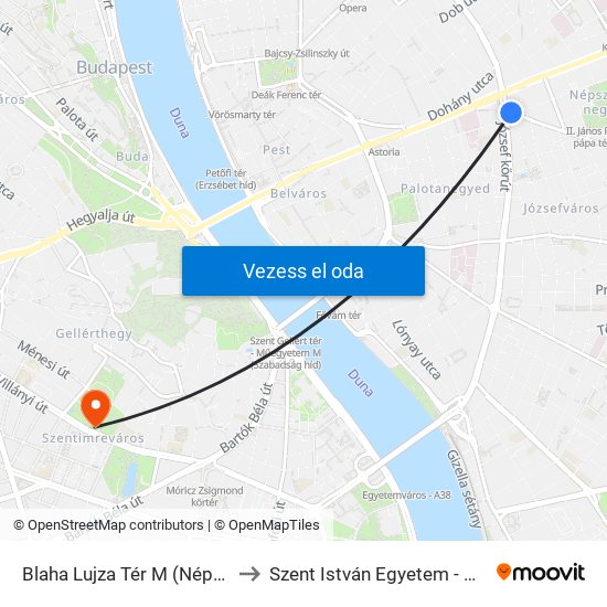 Blaha Lujza Tér M (Népszínház Utca) to Szent István Egyetem - Budai Campus map