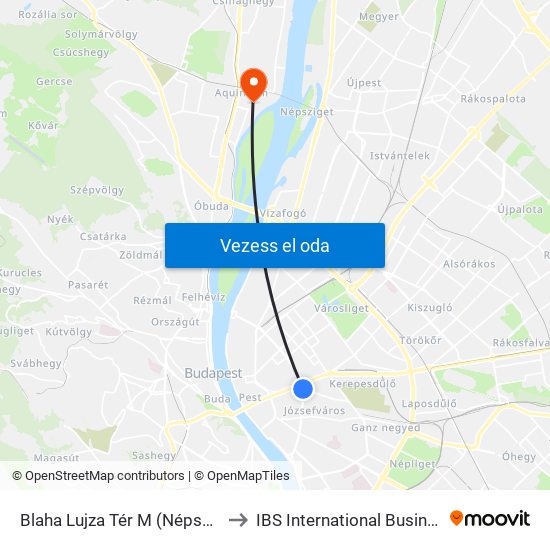 Blaha Lujza Tér M (Népszínház Utca) to IBS International Business School map