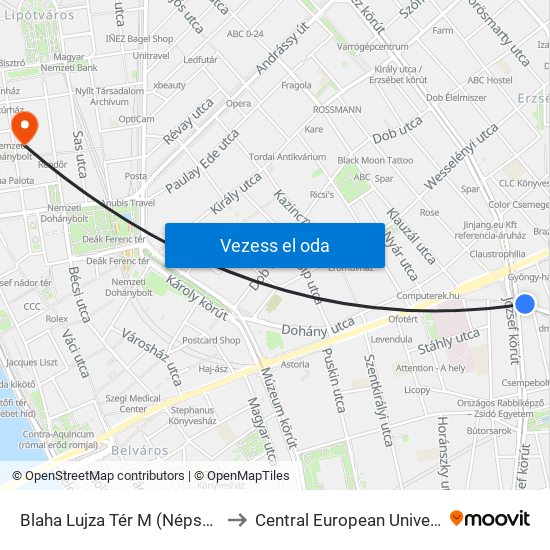Blaha Lujza Tér M (Népszínház Utca) to Central European University (CEU) map