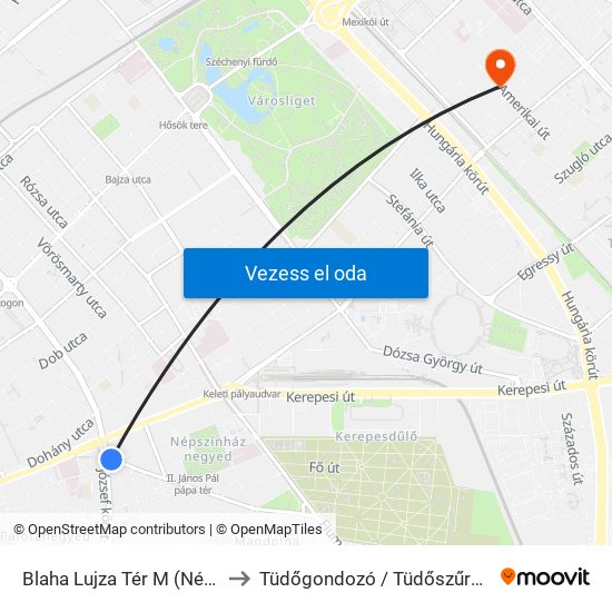 Blaha Lujza Tér M (Népszínház Utca) to Tüdőgondozó / Tüdőszűrő (Uzsoki kórház) map