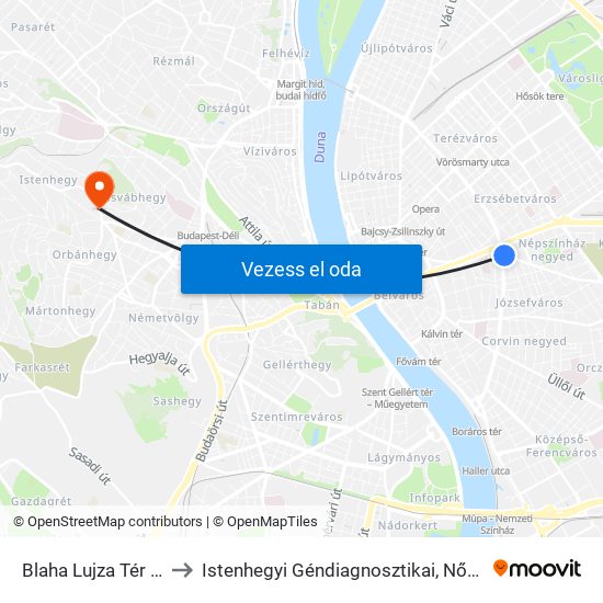 Blaha Lujza Tér M (Népszínház Utca) to Istenhegyi Géndiagnosztikai, Nőgyógyászati és Családtervezési Centrum map