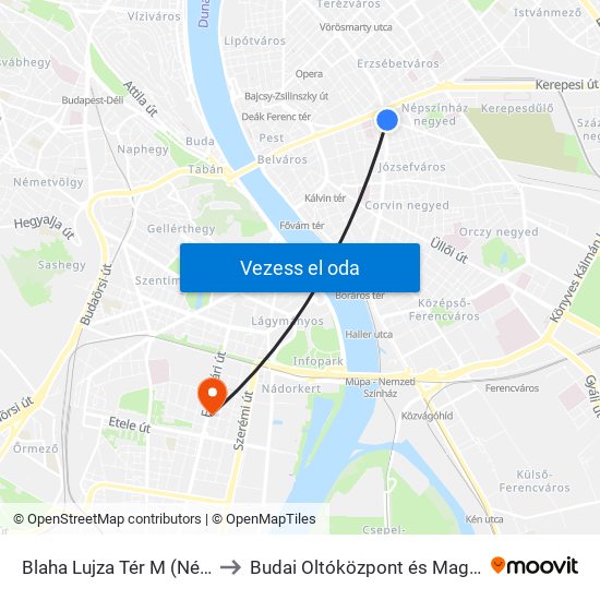 Blaha Lujza Tér M (Népszínház Utca) to Budai Oltóközpont és Magánorvosi Centrum map