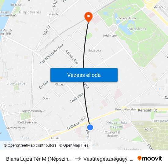 Blaha Lujza Tér M (Népszínház Utca) to Vasútegészségügyi Rendelő map