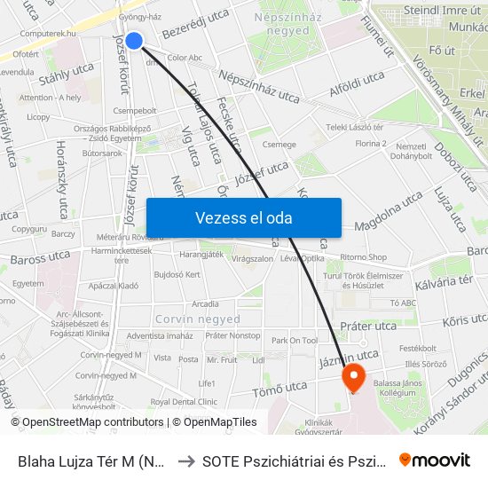 Blaha Lujza Tér M (Népszínház Utca) to SOTE Pszichiátriai és Pszichoterápiás Klinika map